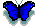 butflyer1.gif (1427 bytes)